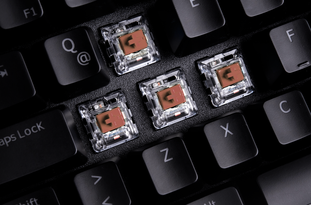 Negro / Regular Marrón